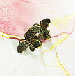  نیم ست نقره زنانه سلین کالا مدل مدل پروانه کد 123 -14926784