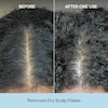 Dobord شامپو اسکراب کف سر ۳۰ میل بریوجیو Briogeo Scalp Revival Charcoal + Coconut Oil Micro-Exfoliating Shampoo