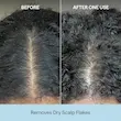 Dobord شامپو اسکراب کف سر ۳۰ میل بریوجیو Briogeo Scalp Revival Charcoal + Coconut Oil Micro-Exfoliating Shampoo