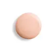تینت پوست آبرسان سیسلی ۳۰ میل Sisley Phyto-Teint Nude