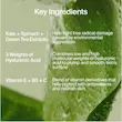Dobord کرم مرطوب‌کننده یوت تو د پیپل ۷.۴ میل Youth To The People Superfood Air-Whip Moisture Cream