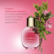 Dobord اسپری فیکس آرایش ۱۵ میل کلارنس Clarins Fix’ Make-Up