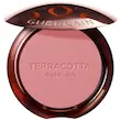 رژ گونه تراکوتا گرلن (Guerlain Terracotta Blush)