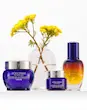 کرم پیشگیری از علائم پیری لوکسیتان mortelle L’OCCITANE Immortelle Precious Cream