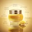 کرم صورت ضد پیری ۵۰ میل لوکسیتان Immortelle Divine Cream Youth & Radiance‏