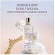 کرم بدن معطر لوکسیتان Premiers Rayons L'Occitane en Provence