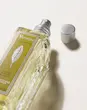 عطر وربنا لوکسیتان Verbena Eau de Toilette L'Occitane en Provence