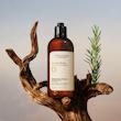 شامپو تقویت‌کننده و حجم‌دهنده 500 میل لوکسیتان L'Occitane Strength and Volume Shampoo