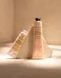 کرم دست ارکیده لوکسیتان L'Occitane Néroli & Orchidée Hand Cream