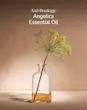 شامپو ترمیم‌کننده قوی ۵۰۰ میل لوکسیتان L’Occitane Intensive Repair Shampoo
