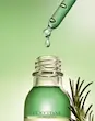 سروم تقویت‌کننده و ضد ریزش مو لوکسیتان L'Occitane Pro-Density + Advanced Scalp Treatment