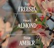 میست مو و بدن بادام لوکسیتان ALMOND (AMANDE) DELIGHTFUL HAIR & BODY MIST