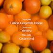 دئودورانت رول‌آن لوکسیتان Verveine Agrumes (Citrus Verbena)