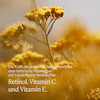 کرم دور چشم لوکسیتان L'OCCITANE Immortelle Précieuse