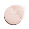 هایلایتر شنل CHANEL POUDRE LUMIÈRE 