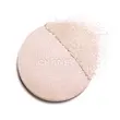 هایلایتر شنل CHANEL POUDRE LUMIÈRE 