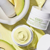 Dobord ( مینی/۷ میل) دور چشم آواکادو کیلز Kiehl’s Creamy Eye Treatment with Avocado