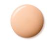 کرم پودر گرلن GUERLAIN Terracotta Joli Teint Foundation