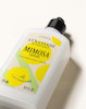 لوسیون بدن معطر لوکسیتان  loccitane Mimosa Verveine Perfumed Body Lotion