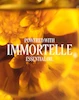 کرم دست ضدپیری لوکس لوکسیتان-Immortelle Divine Hand Serum-In-Cream 75ml