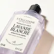 ژل دوش معطر لوندر بلانش لوکسیتان 250 میلی‌لیتر - L'Occitane Lavande Blanche Perfumed Shower Gel 250ml