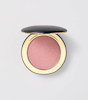 هایلایتر رنگی وستمن اتلر - Westman Atelier Super Loaded Tinted Highlight