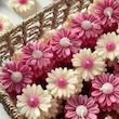 گل بابونه عید غدیر