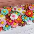 گل بابونه عید غدیر