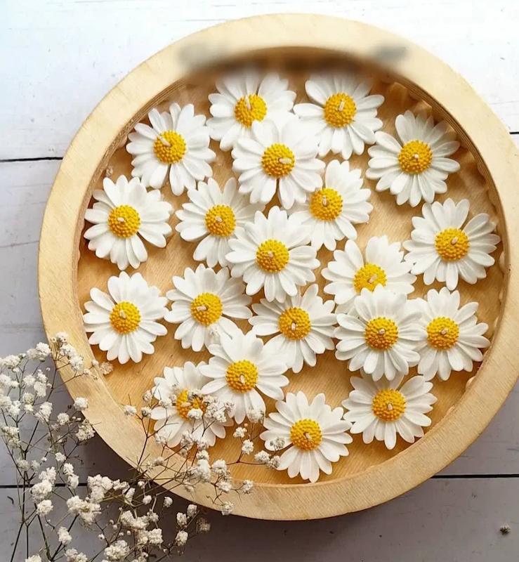 گل بابونه عید غدیر