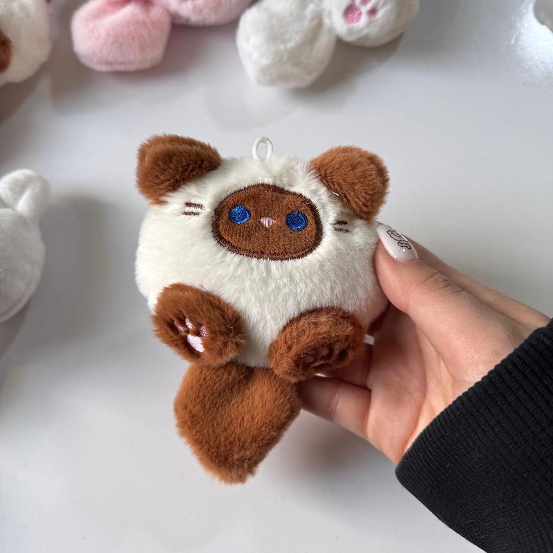 پیشی دم دار🐈