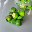سیب ترش🍏