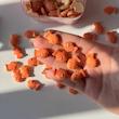 ماهی بیسکويیتی🐡