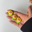 کاپی بارا و گل وحشی🌻