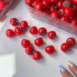 گوجه تازه🍅🥫