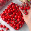گوجه تازه🍅🥫