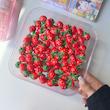 توت فرنگی قرمز چراغ دار🍓