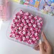 مای ملودی پررنگ چراغ دار🌷