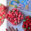 توت فرنگی بزرگ🍓