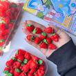توت فرنگی بزرگ🍓