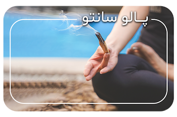 پاکسازی با اسماج
