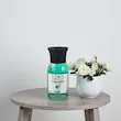 خوشبوکننده نسیم بهاری ( اسپرینگ بریز ) لوریس ۱۰۰ میلی لیتر
