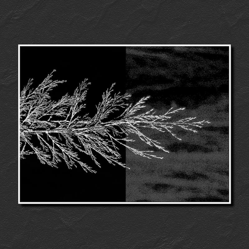 تابلوعکس Untitled 06