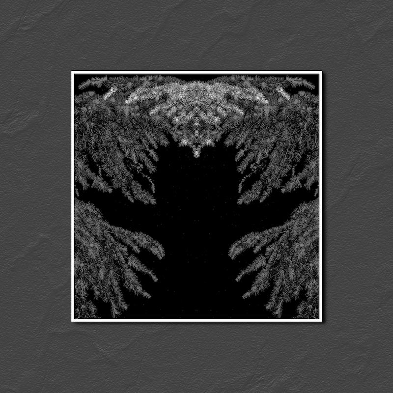 تابلوعکس Untitled 07