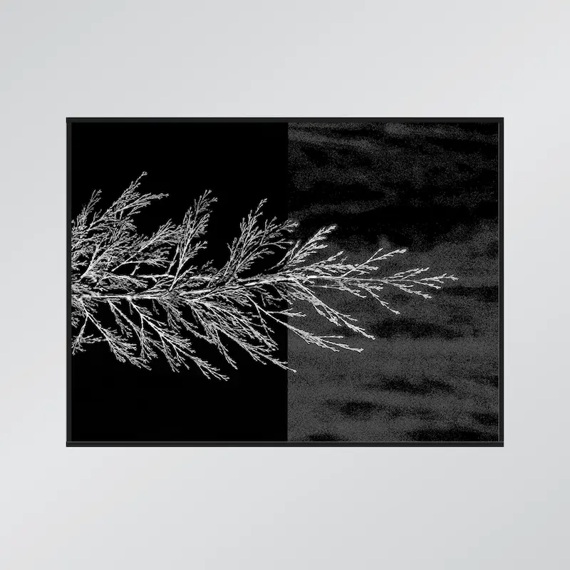 تابلوعکس Untitled 06
