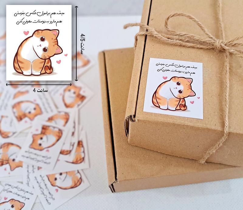 لیبل مربع گربه