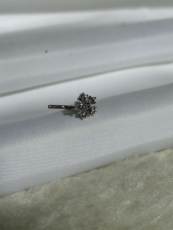 پرسینگ بینی