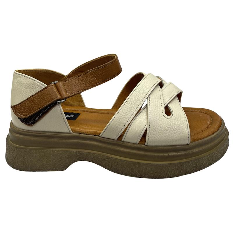 صندل طبی کد 5116