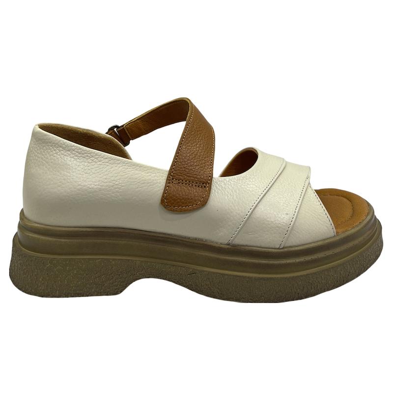 صندل طبی کد 5115