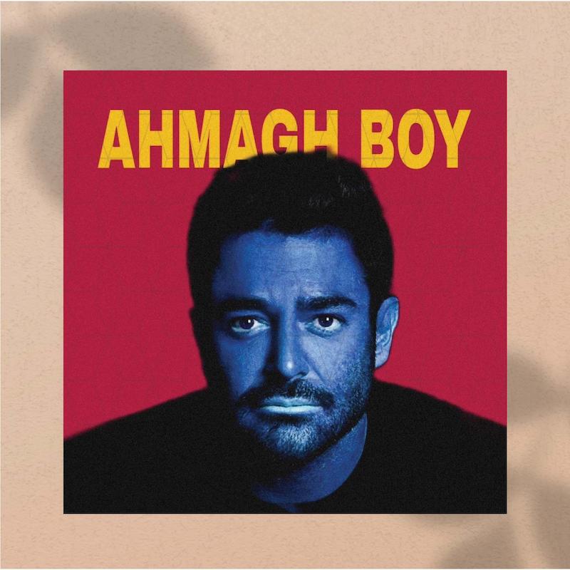 پوستر گلزار / AHMAGH BOY :) / golzar