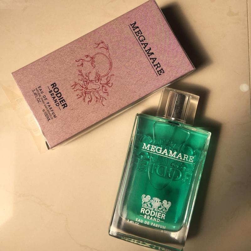 ادوپرفیوم مردانه رودیر (Rodier) مدل  مگامار MEGAMARE حجم 100 میلی‌لیتر
